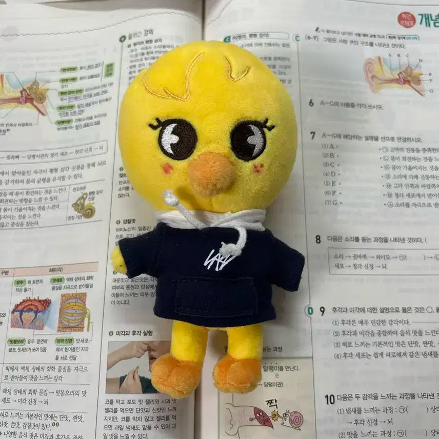 스트레이키즈 스키즈 필릭스 뽁아리 스키주 매직스쿨 미니 판매 이용복