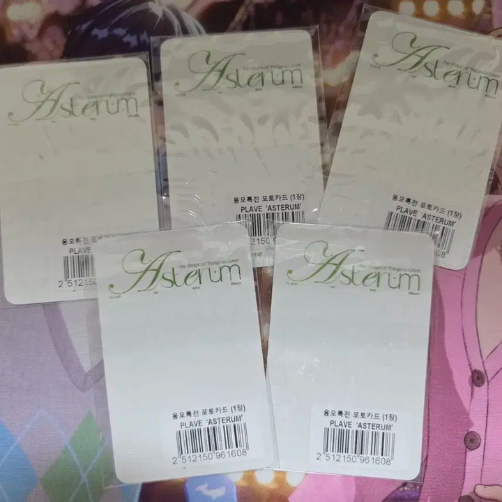 플레이브 육여름 예사 미공포 일괄