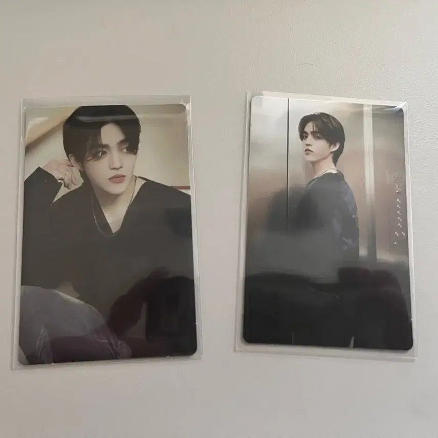 세븐틴 에스쿱스 캐럿랜드 트레카 2장 일괄양도합니다