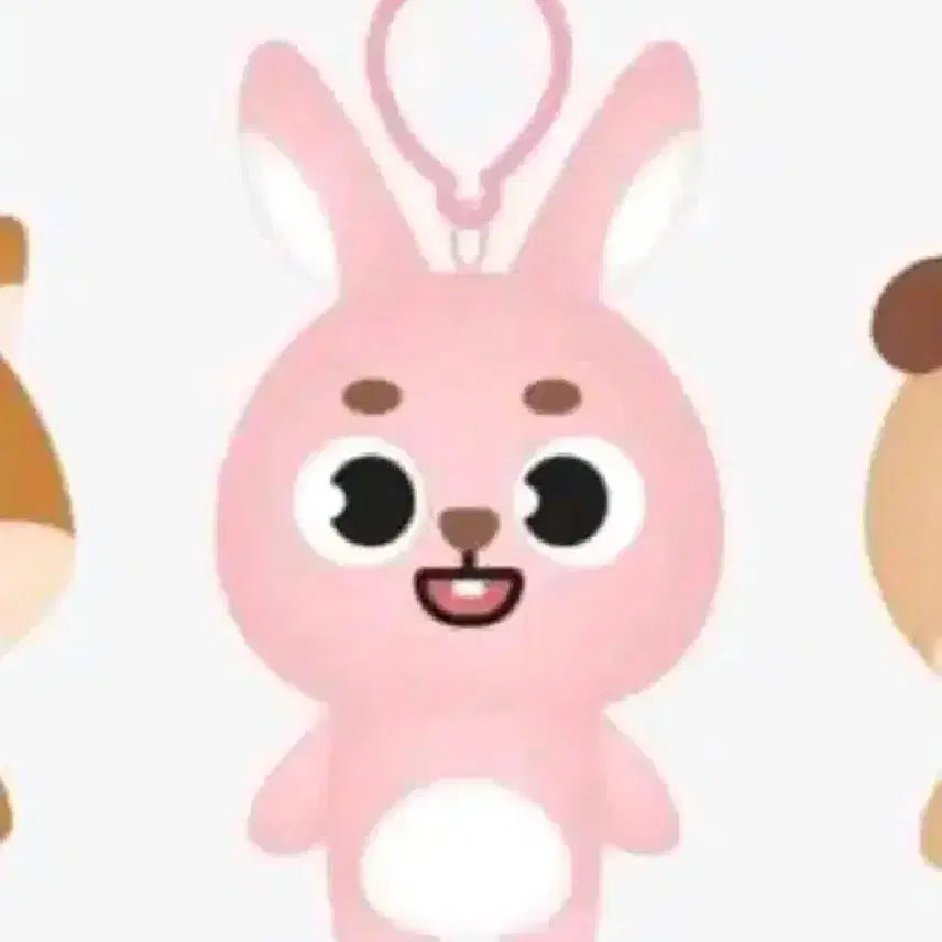 데이식스 데니멀즈 24필끼 원필