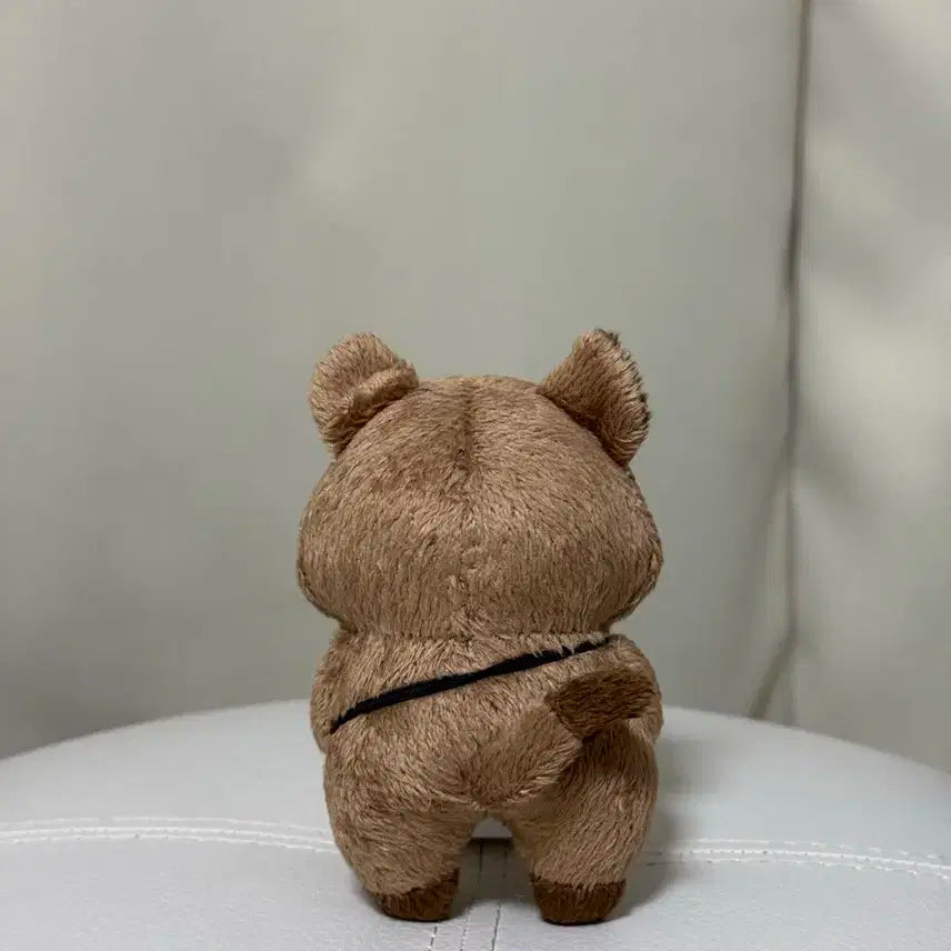 몬스타엑스 셔누 션쿼카