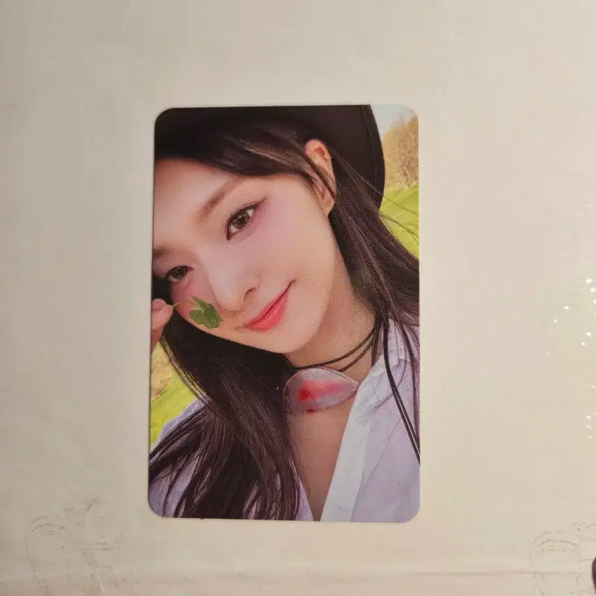 프로미스나인 포토북 팜 버전 포카 포토북 포카 프나 포카