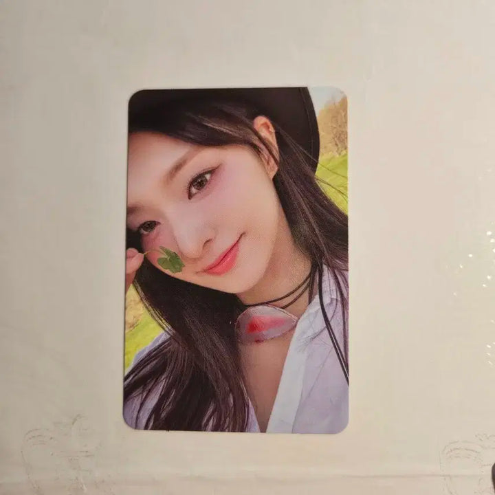 프로미스나인 포토북 팜 버전 포카 포토북 포카 프나 포카