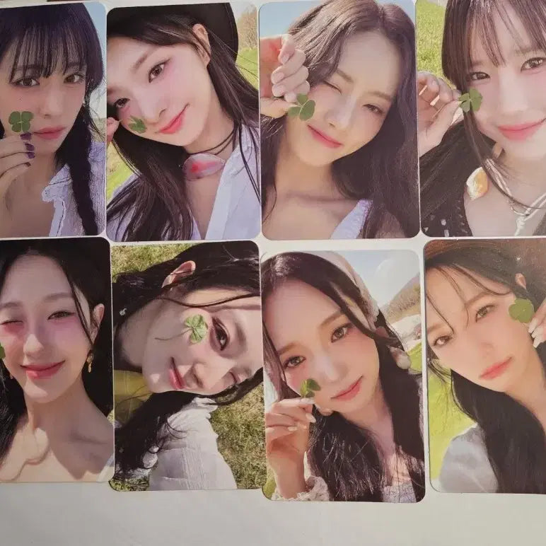 프로미스나인 포토북 팜 버전 포카 포토북 포카 프나 포카