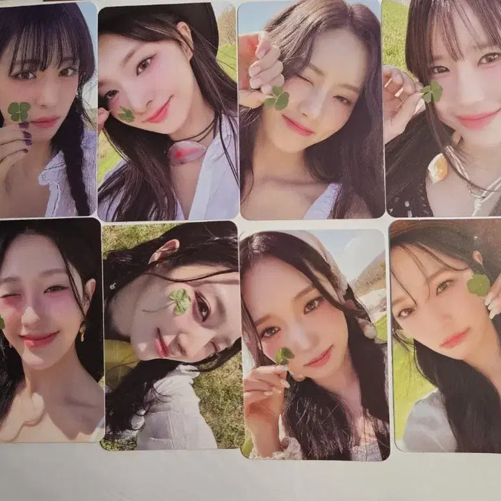 프로미스나인 포토북 팜 버전 포카 포토북 포카 프나 포카