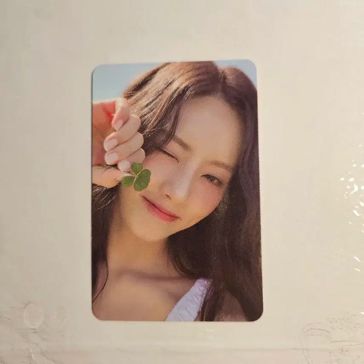 프로미스나인 포토북 팜 버전 포카 포토북 포카 프나 포카