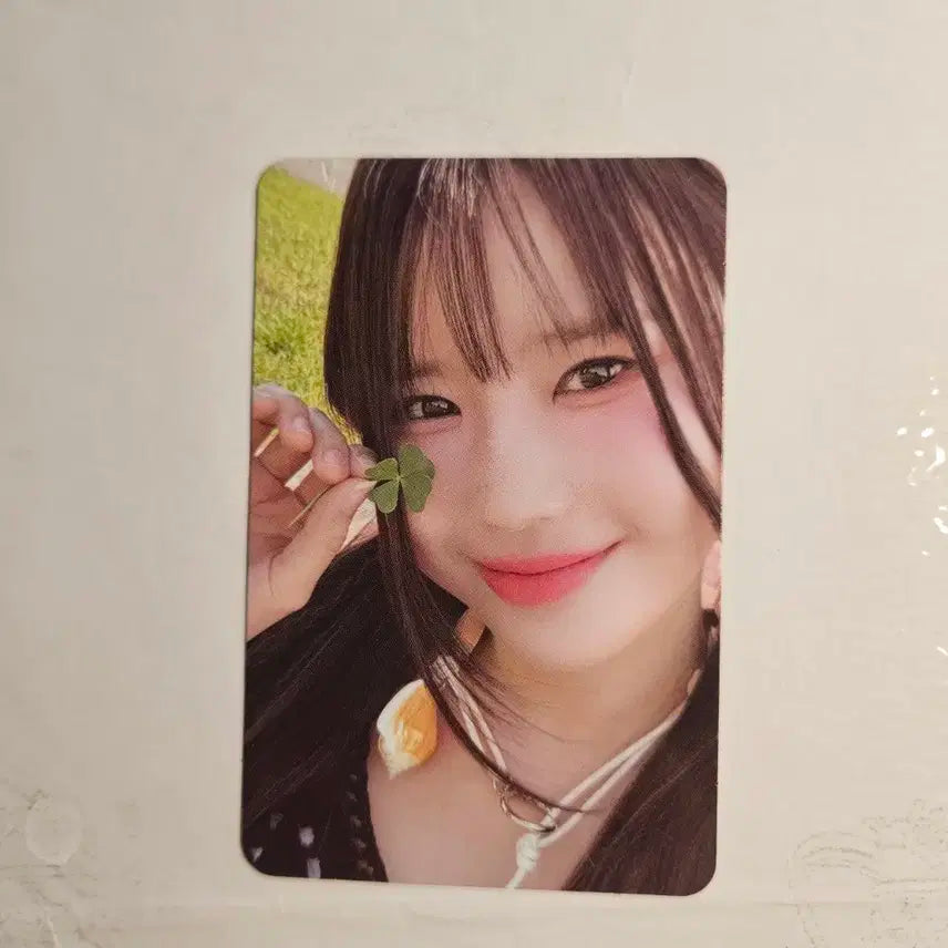 프로미스나인 포토북 팜 버전 포카 포토북 포카 프나 포카