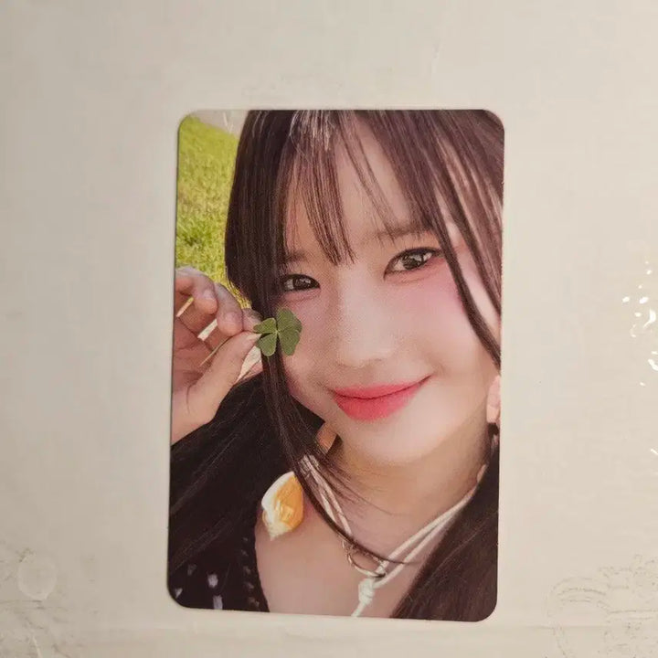 프로미스나인 포토북 팜 버전 포카 포토북 포카 프나 포카