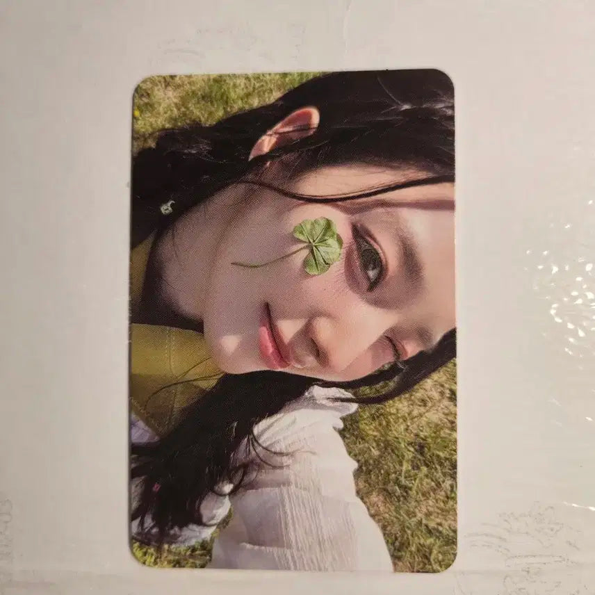 프로미스나인 포토북 팜 버전 포카 포토북 포카 프나 포카