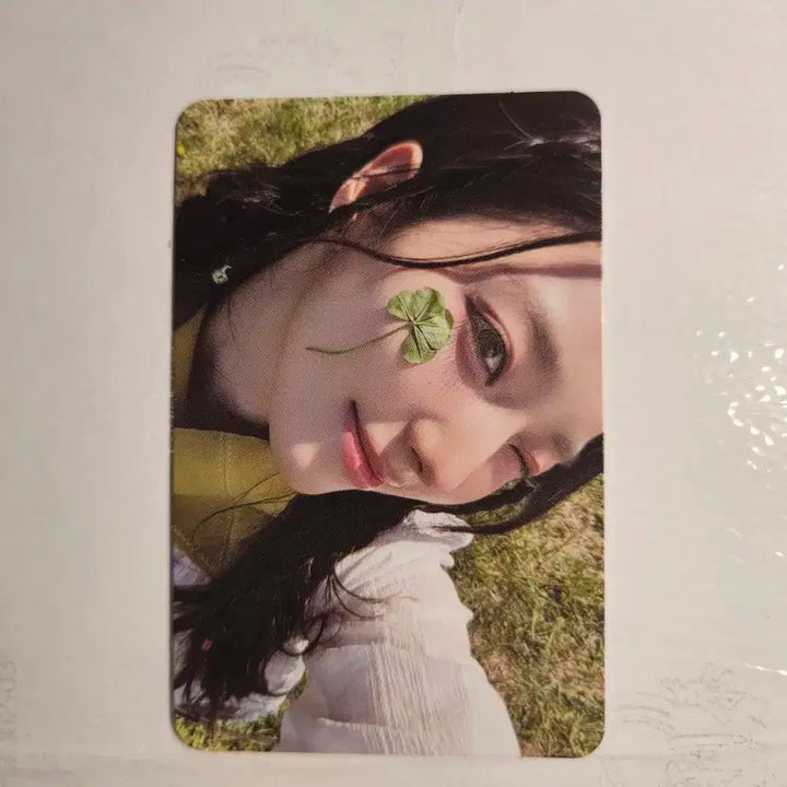 프로미스나인 포토북 팜 버전 포카 포토북 포카 프나 포카