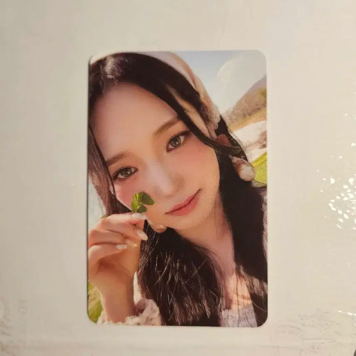 프로미스나인 포토북 팜 버전 포카 포토북 포카 프나 포카