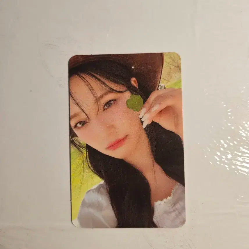프로미스나인 포토북 팜 버전 포카 포토북 포카 프나 포카