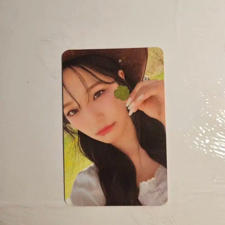 프로미스나인 포토북 팜 버전 포카 포토북 포카 프나 포카