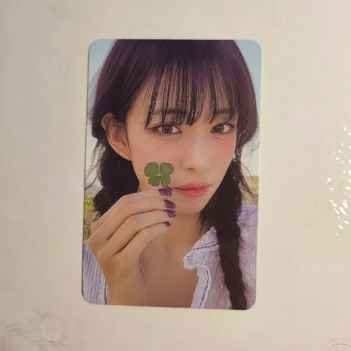 프로미스나인 포토북 팜 버전 포카 포토북 포카 프나 포카