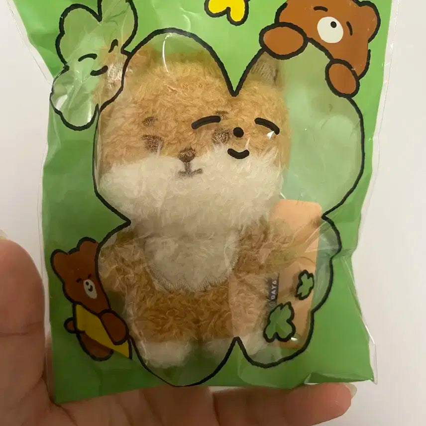 데이식스 쁘띠멀즈 마그넷 케