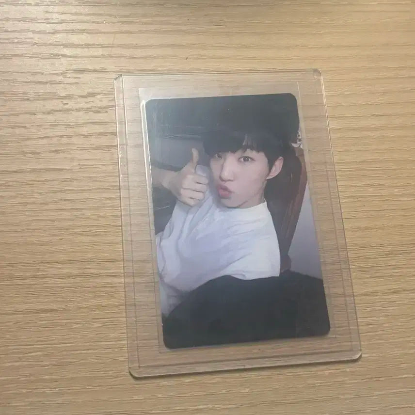 붐붐 호시 양도