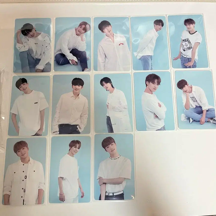 세븐틴 공식 3기 포토카드 세트+카드지갑