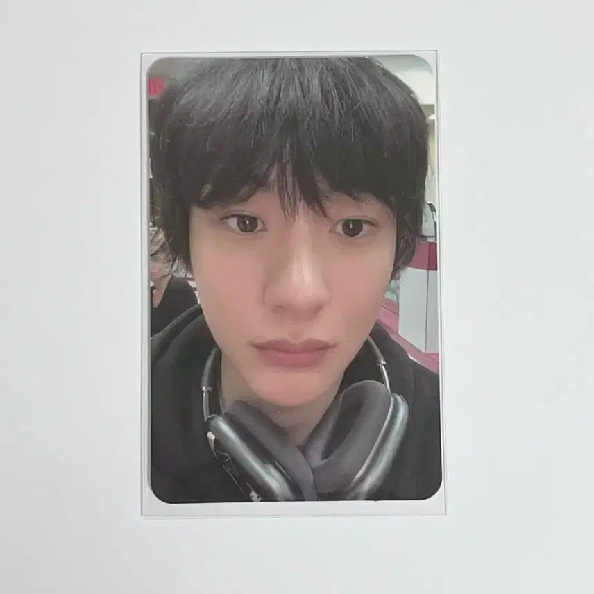 라이즈 앤톤 겟어기타 슴스 sm store 포카 양도