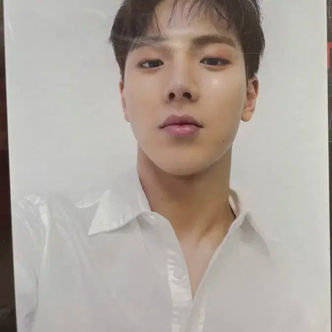 몬스타엑스 셔누 포카