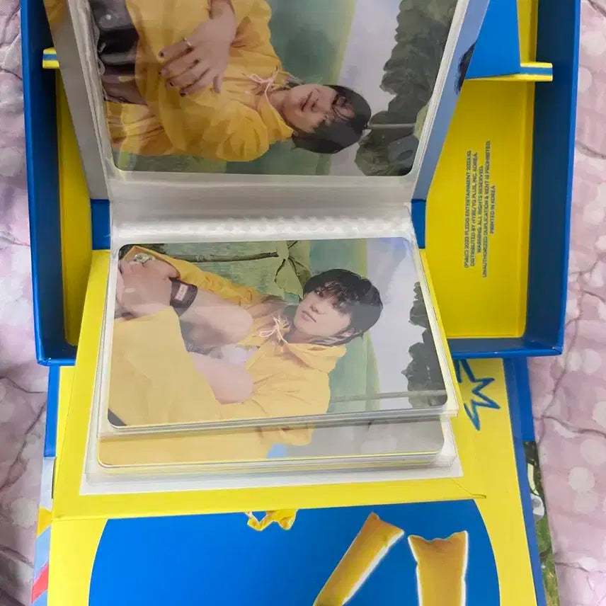 세븐틴 디에잇 캐럿반