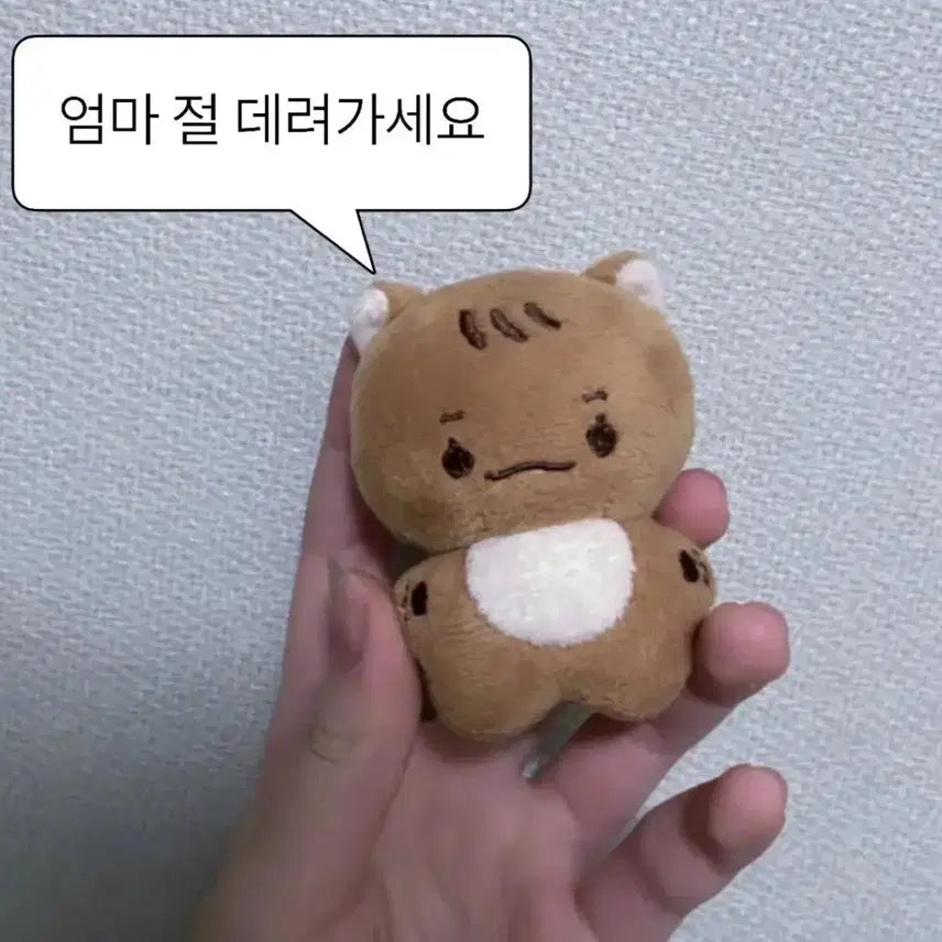 에이티즈 김홍중 인형 쭝쭝이