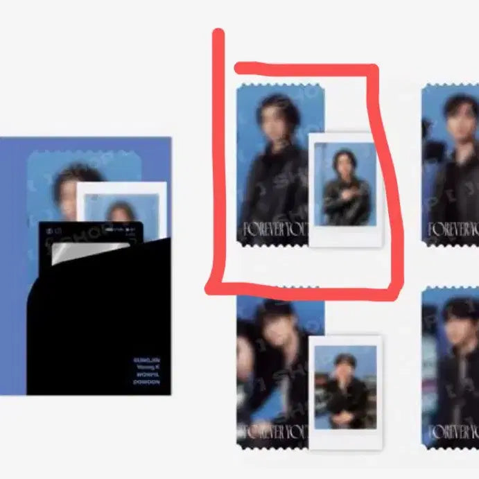 데이식스 성진 티켓