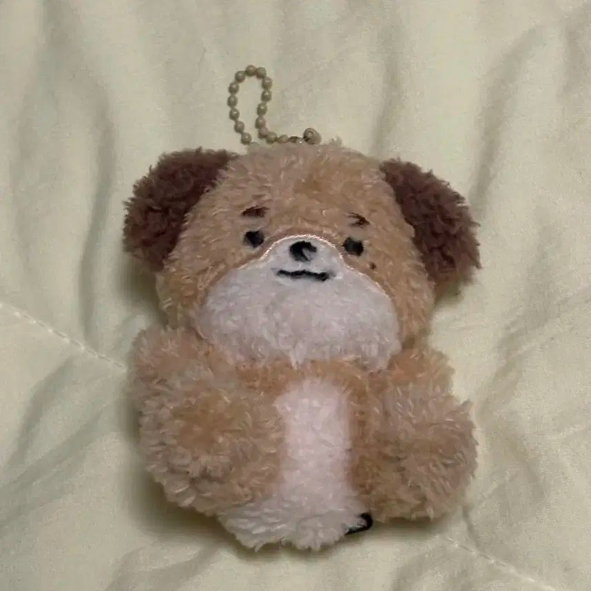 데이식스 앉은데멀 앉은쁘멀 씨팅 돈