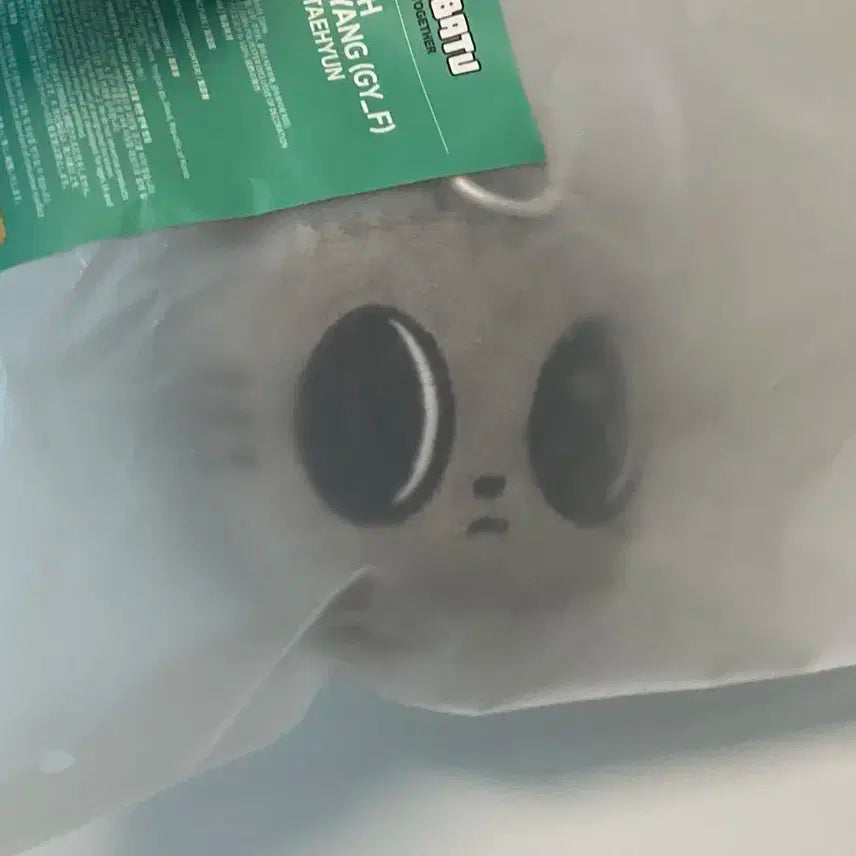 미개봉 투바투인형 투모로우바이투게더 뿔바투 다고냥 동전지갑