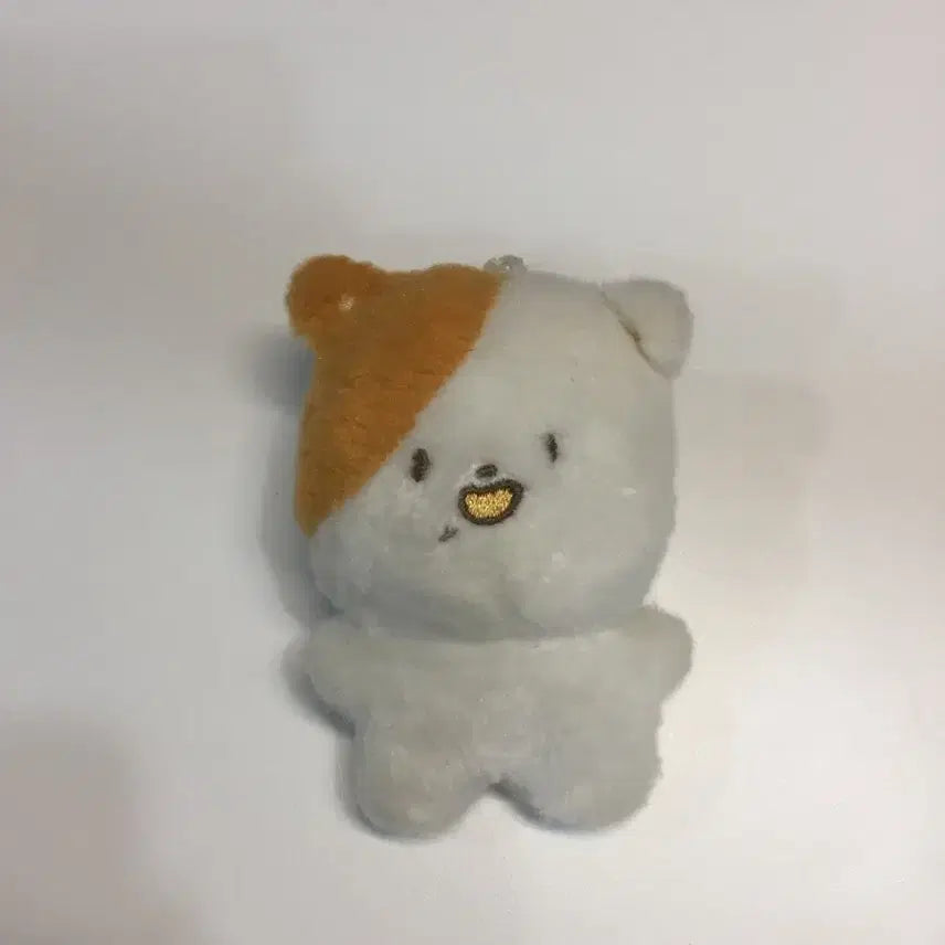 지성 포켓찌