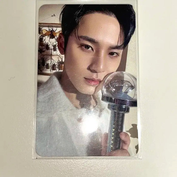 세븐틴 2024 캐럿랜드 캐럿존 민규 포카