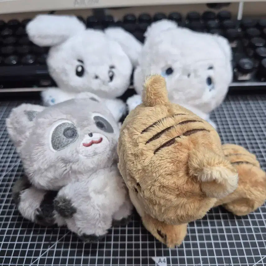 루시 인형 일괄 양도합니다