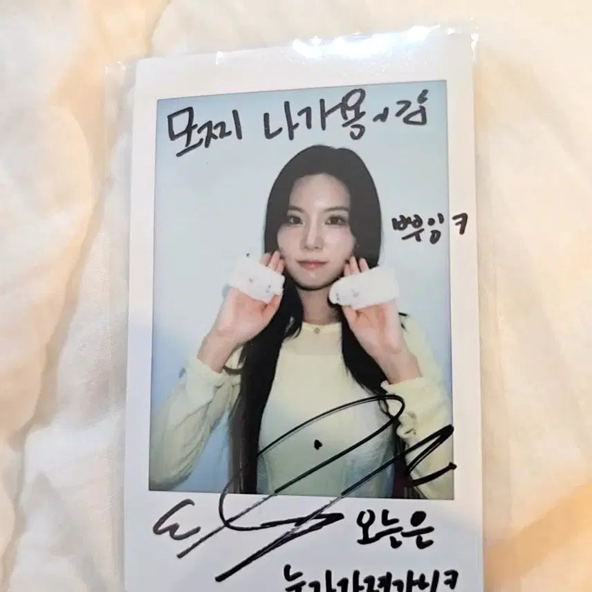 시그니처 셀린 싸인 폴라로이드