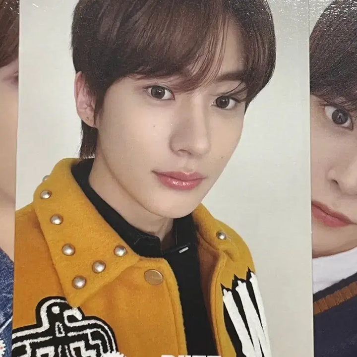 RIZE 멤버 포토카드 7종 세트