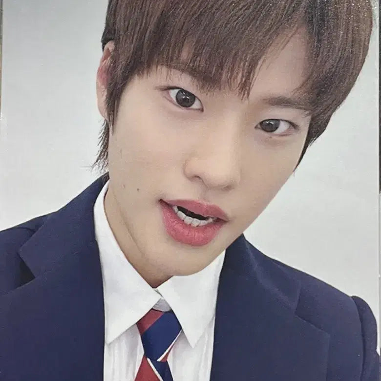 RIZE 멤버 포토카드 7종 세트