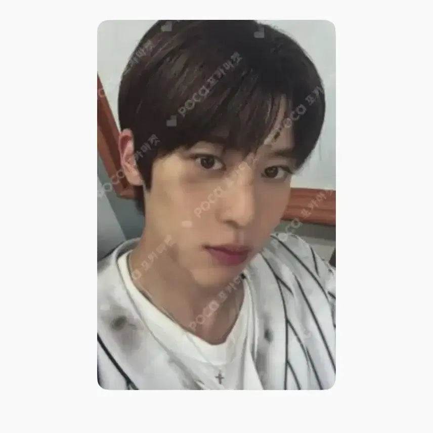 엔시티 위시 시온 팝팝 초회한정반 포토카드