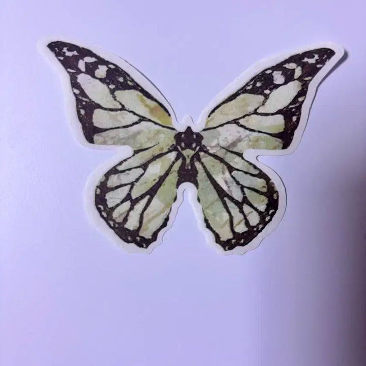 홉온스 나비컨페티 1+1