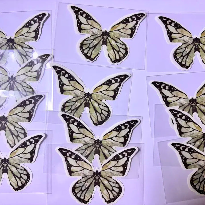 홉온스 나비컨페티 1+1