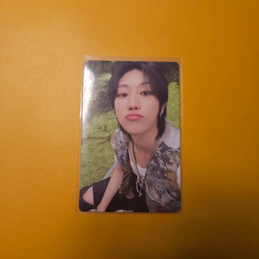 세븐틴 헤븐 음악의 신 포카 양도 디에잇