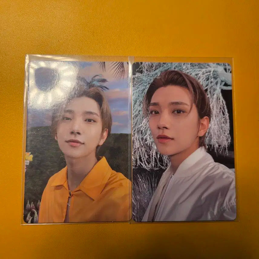 세븐틴 섹터17 포카 일괄 양도 조슈아 홍지수