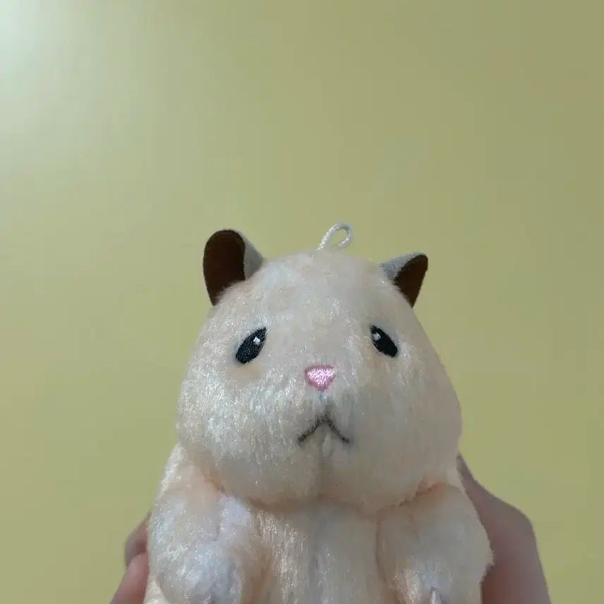 제로베이스원 제베원 뚱쭝햄 성한빈 인형 양도
