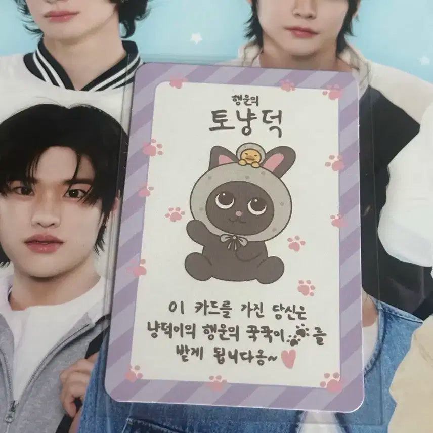 라이즈 원빈 팝업 행운 포카 럭키 포카