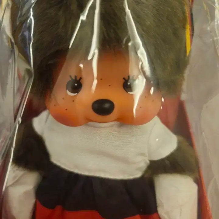 독일 몬치치