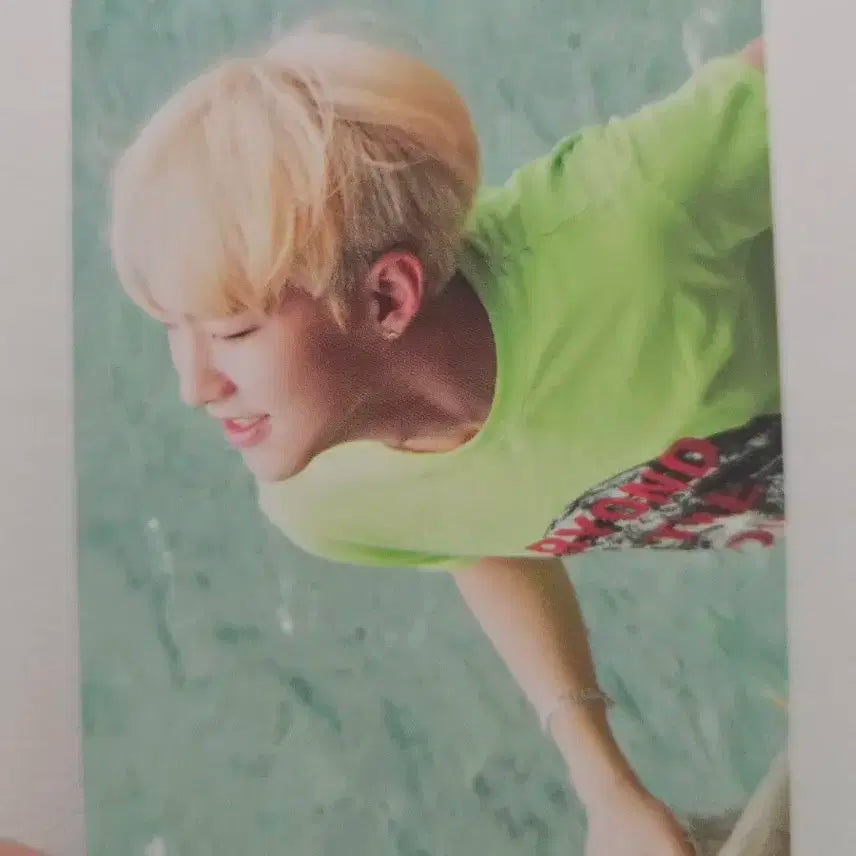 세븐틴 호시 박수 그린 포카