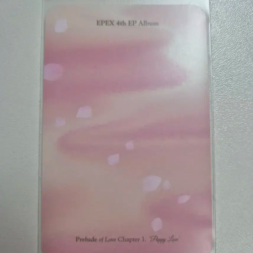 EPEX-위시 4th EP Album 포토카드