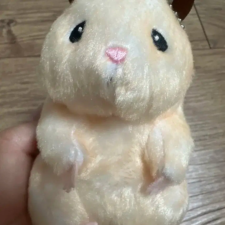 제베원 제로베이스원 포카 시그 바인더 비공굿 뚱쭝햄 마카롱바인더일괄양도