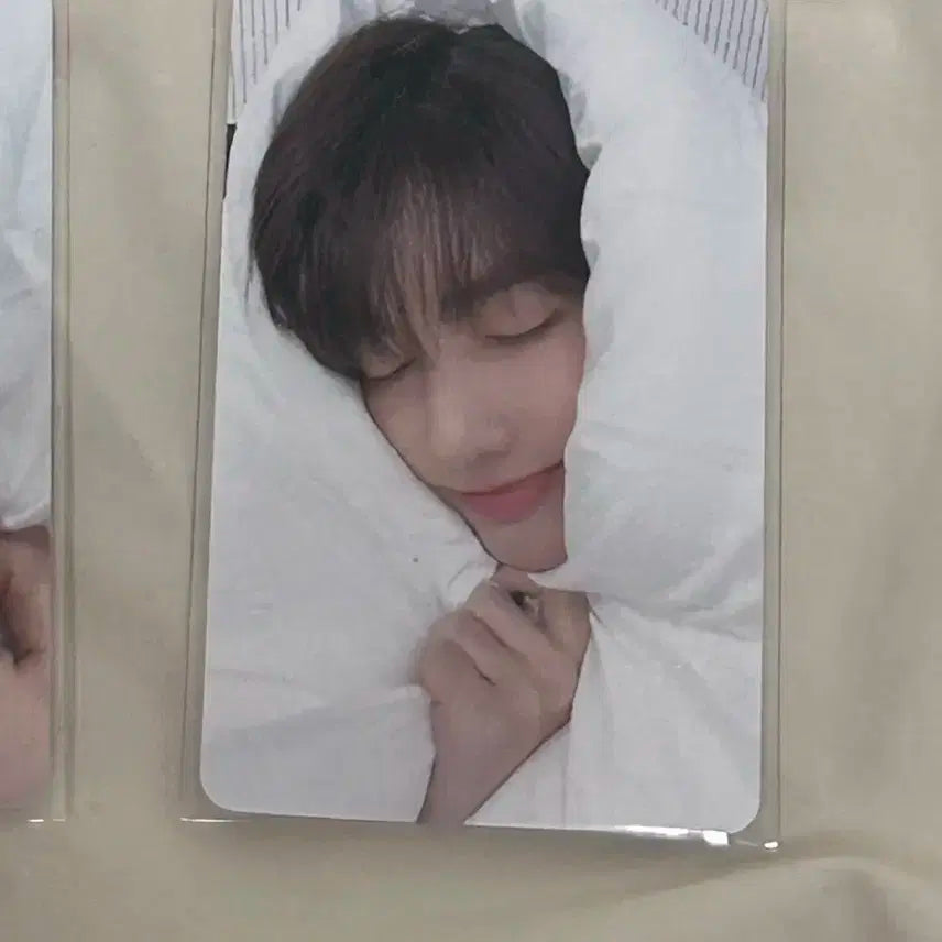 제베원 장하오 이불포카 팔아요
