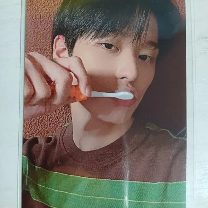 더보이즈 헬로라이브 양치 주연 포카