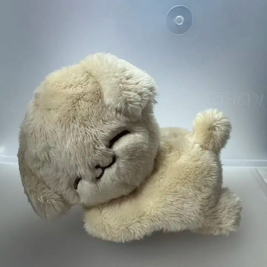 엔시티 제노 폭쩬 인형