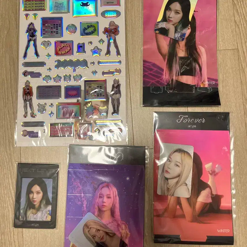 에스파 윈터 데뷔초 굿즈 포카