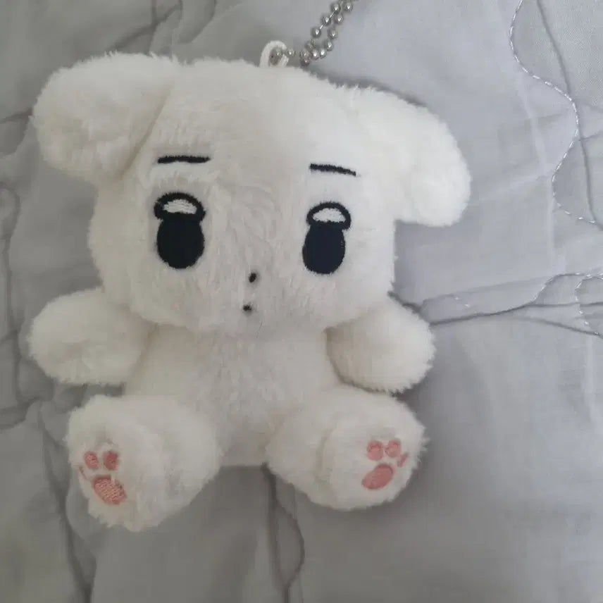 앉직이 직직이 에스파 윈터